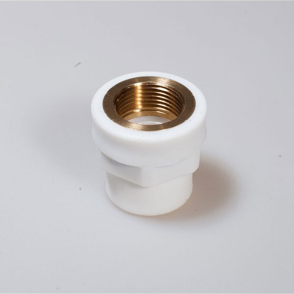 Muf 3/4″ UN
